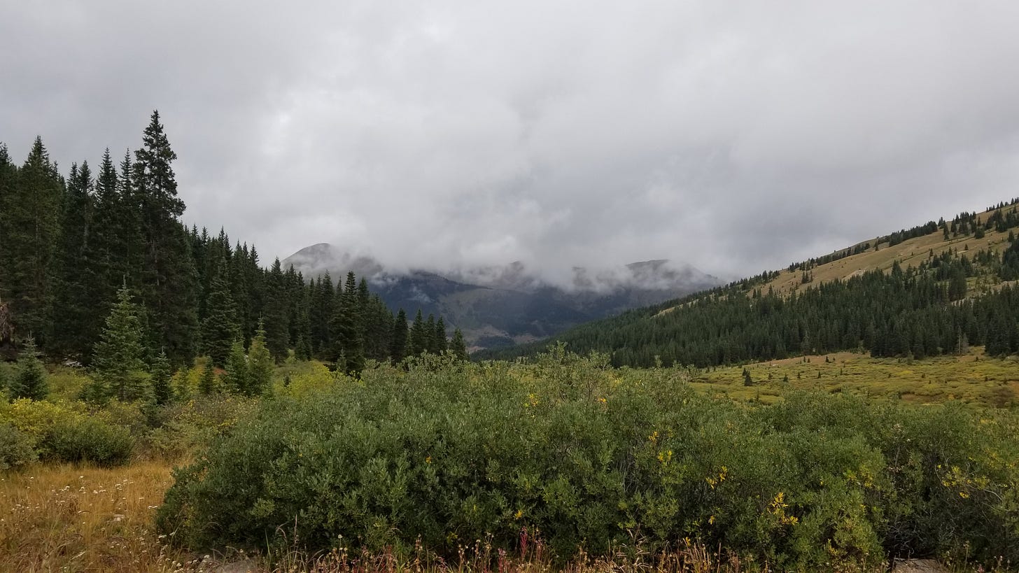 A landscape image of a valley bwtween two green and misty mountains.