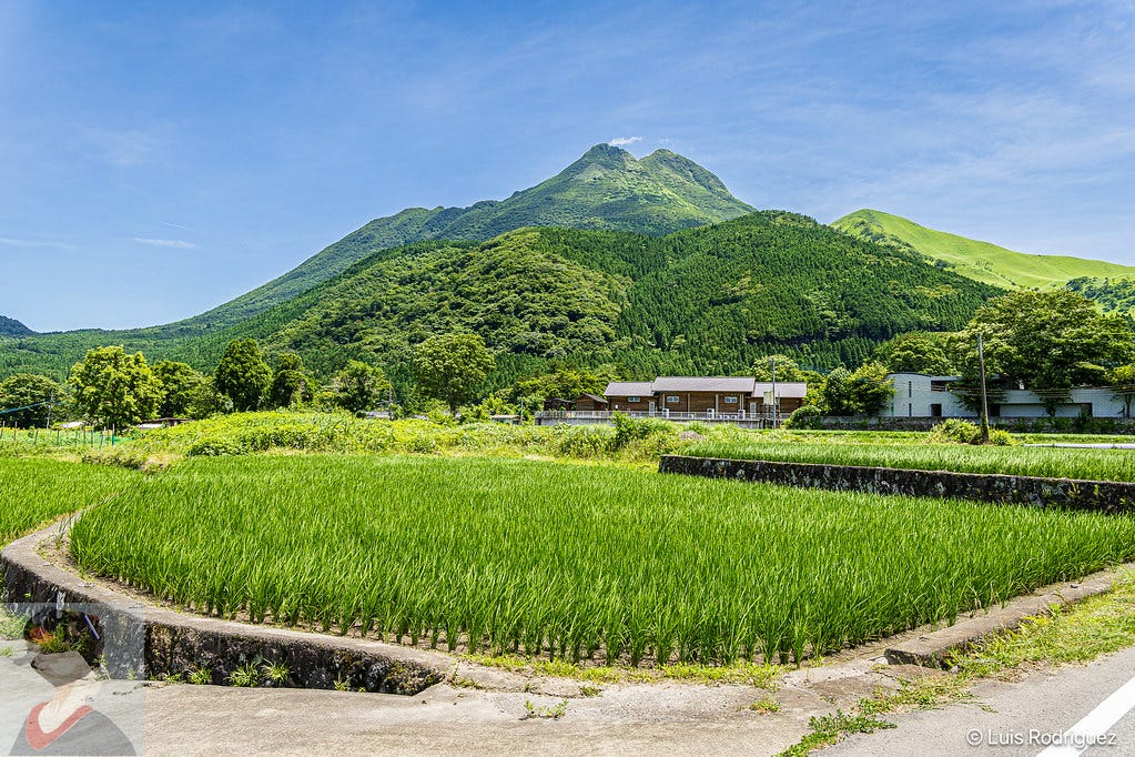 Monte Yufu y campos de arroz en Yufuin