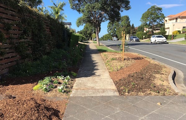 photo of a verge being converted with some planting and piles of mulch