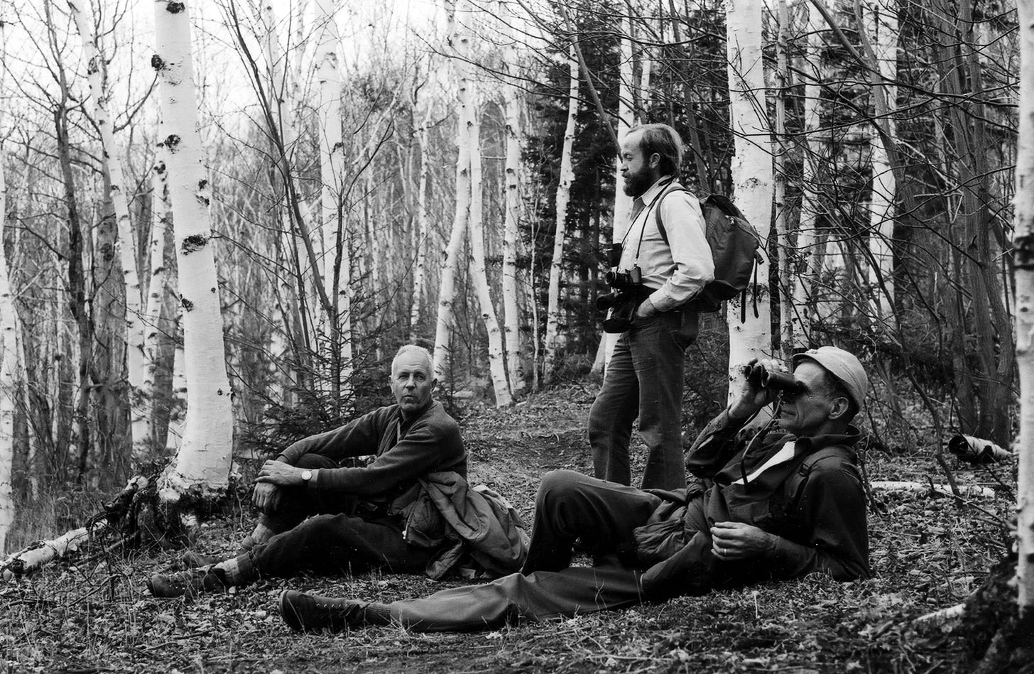 Three men in the woods in a relaxing manner