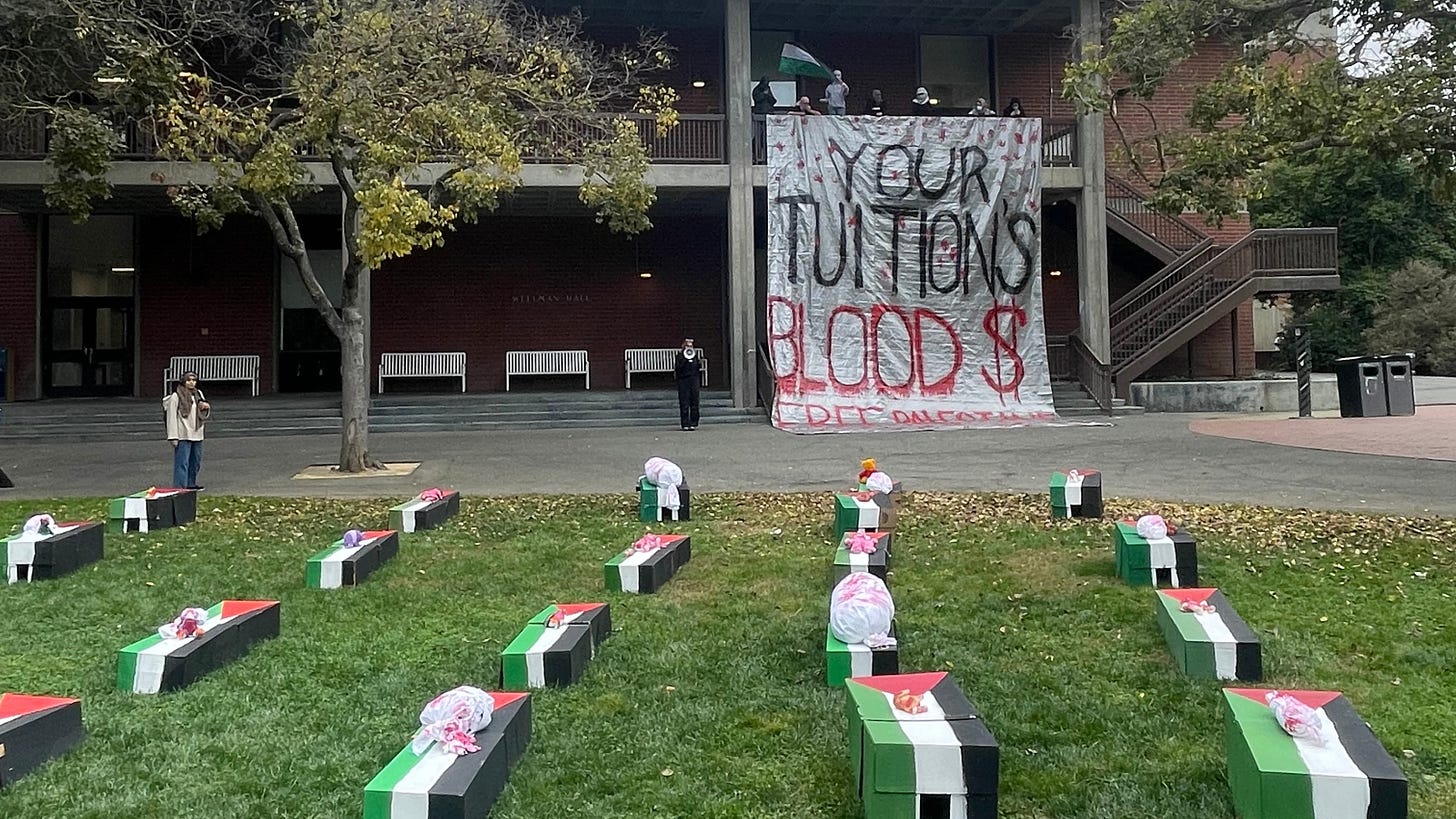 Students participate in an event to honour and recite the names of Palestinian children killed during Israel's continued assault on Gaza organised by the Students for Justice in Palestine (SJP) chapter at the University of California, Davis, on 13 November 2023 (Batool Alawadi/Supplied by author)