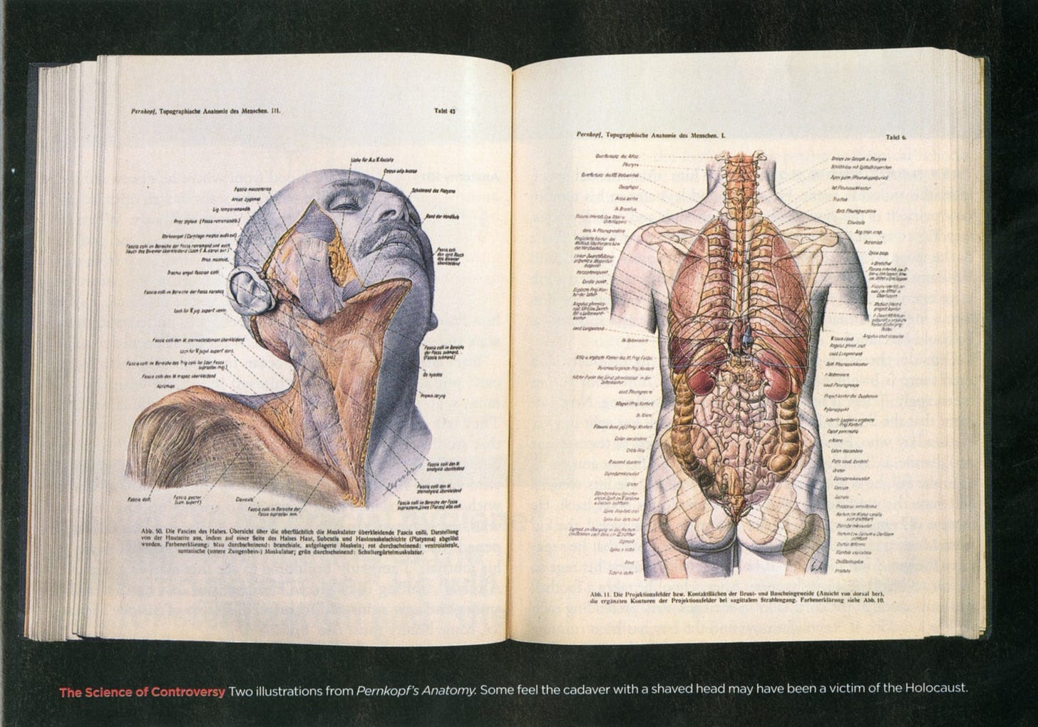 The Morbid History of the Nazi's Banned Anatomy Book | GQ