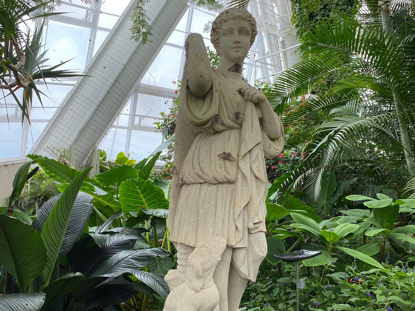 A statue of Artemis in the Niagara Parks Butterfly Conservatory covered in butterflies