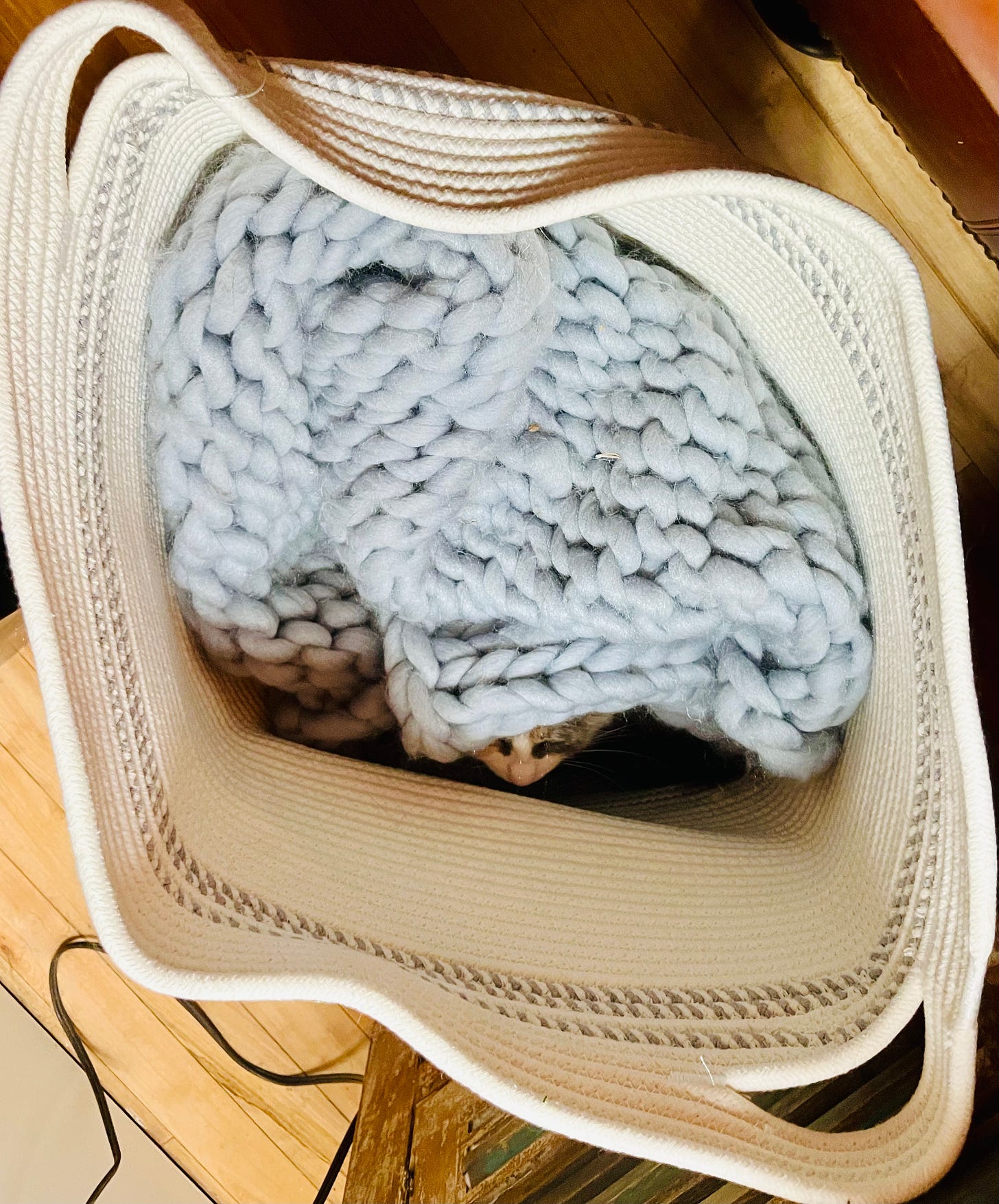 cat hiding in a basket of blankets
