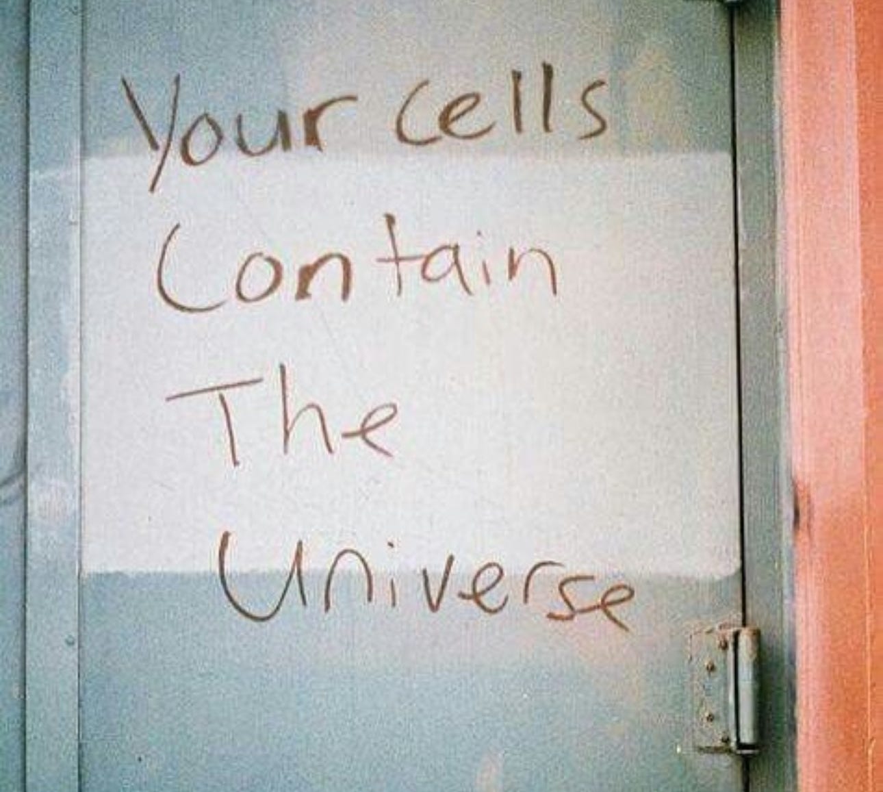 A meme: crayon on a door. Writing: "Your cells contain the universe."