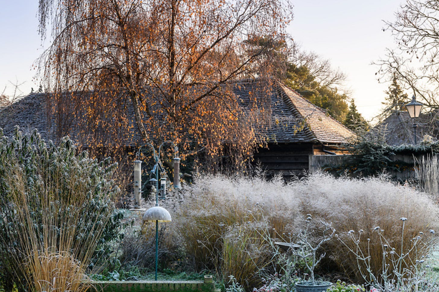 a frosty country garden in winter