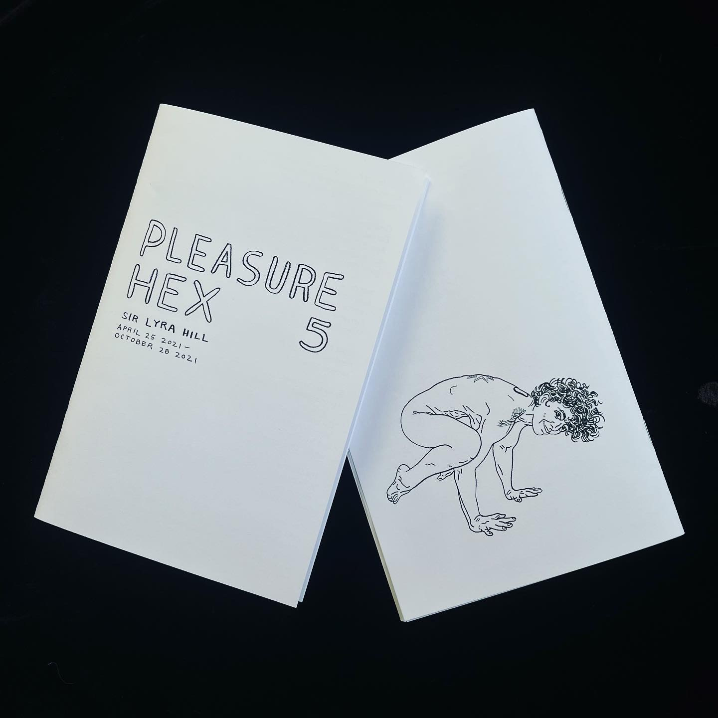 photograph of the front and back covers of Pleasure Hex issue #5