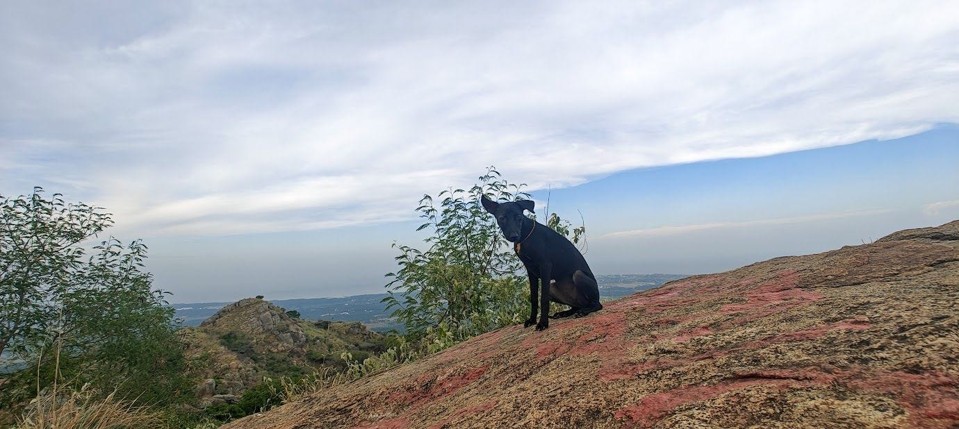 41 days of hiking Marunthuvazh Malai 🙏