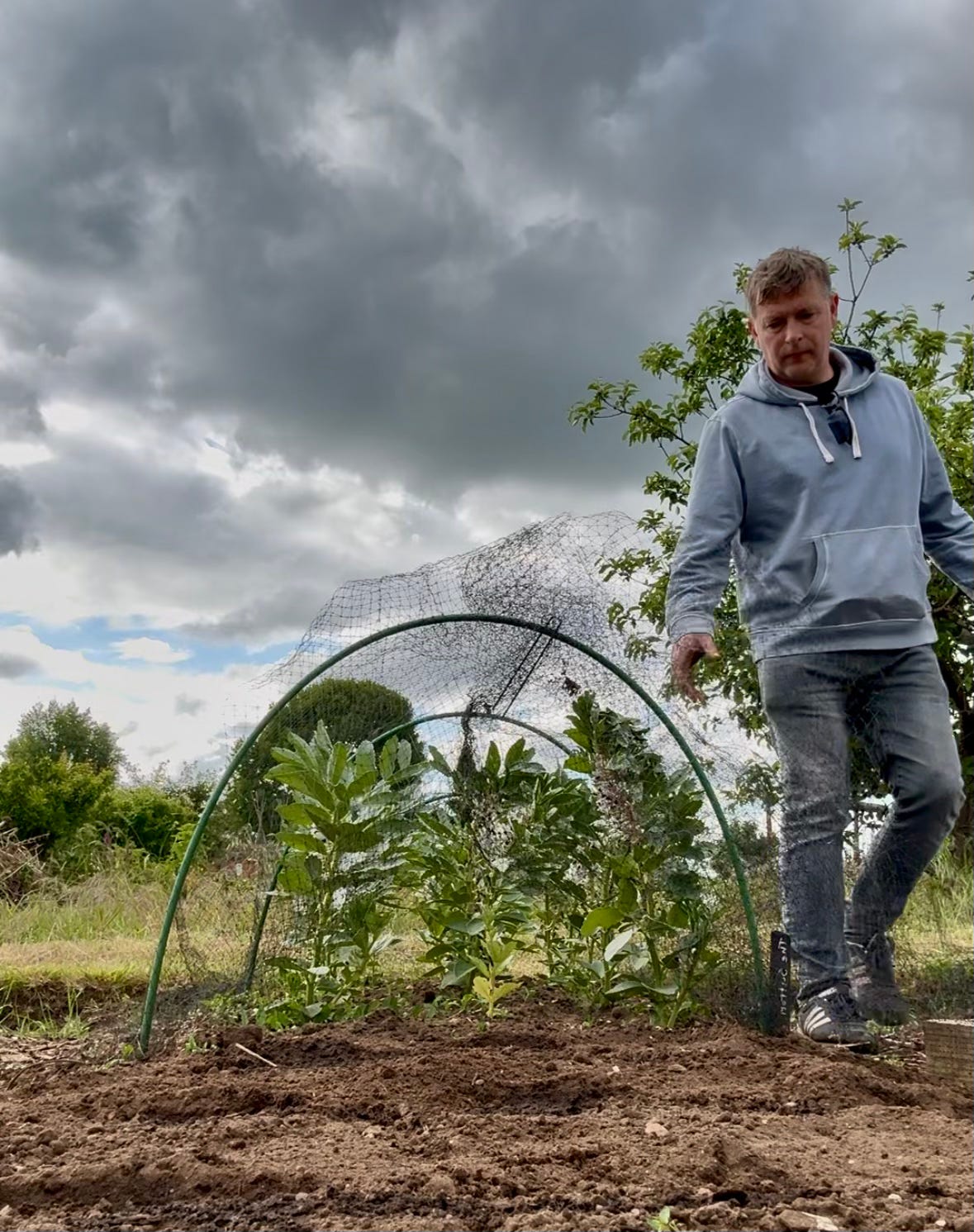 A gardener standing beside an allotment plot, where seed sowing is in progress against a heavy sky.