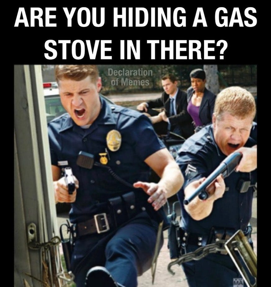 May be an image of 3 people and text that says 'ARE YOU HIDING A GAS STOVE IN THERE? Declaration ofMemes'