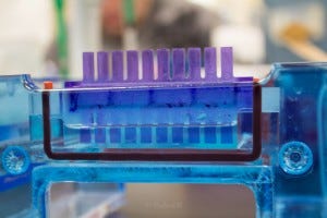 The gasket prevents the agarose gel from spilling our, the purple comb holds open wells and is removed when the gel is set. 