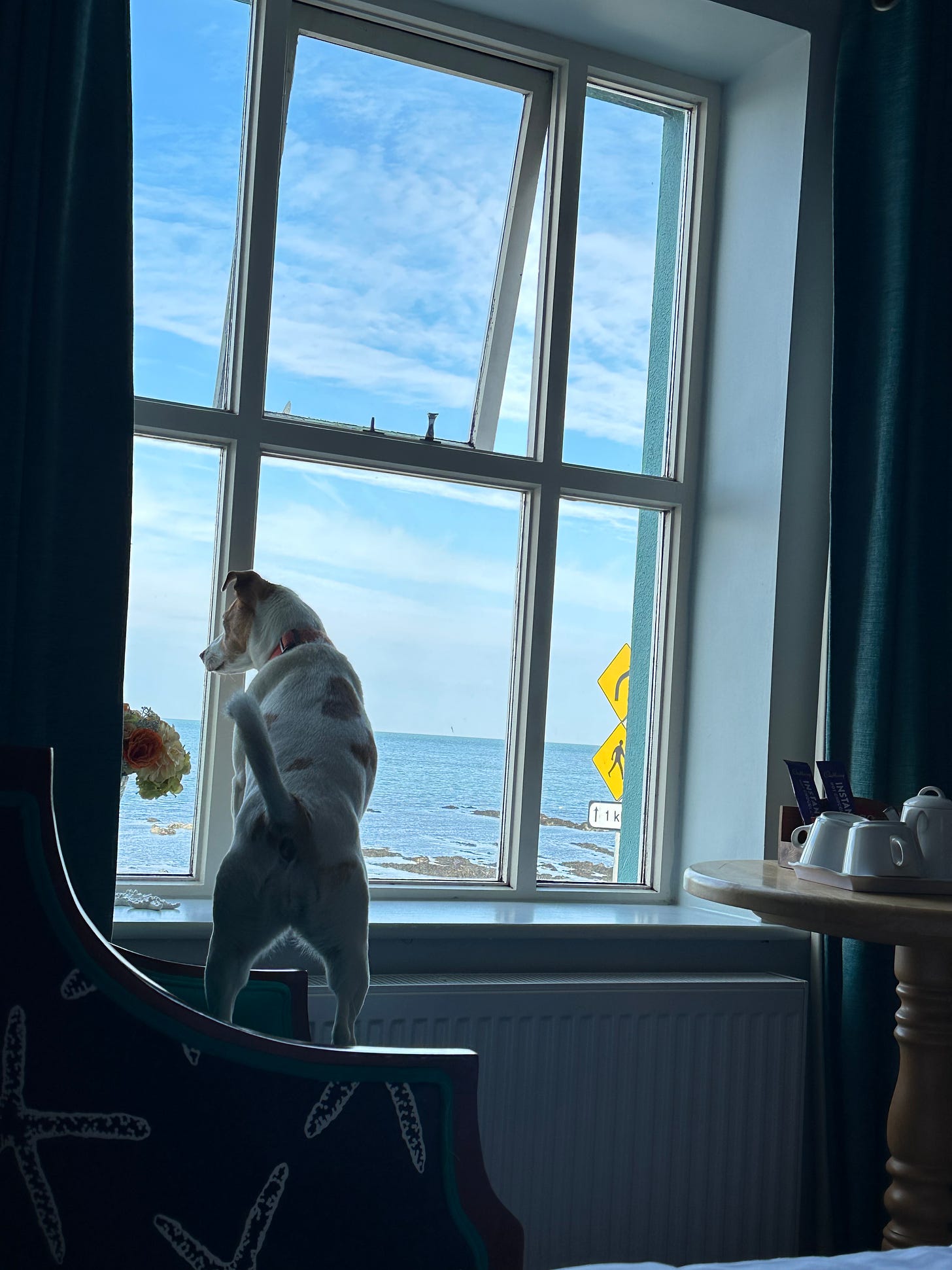 Clara looking out from our bedroom at the King Sitric, Howth