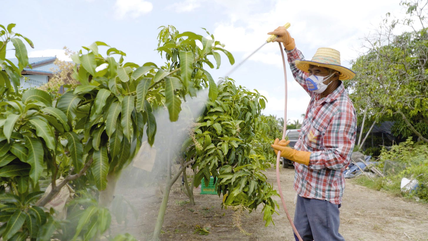 Thailand's pesticide dilemma - CGTN