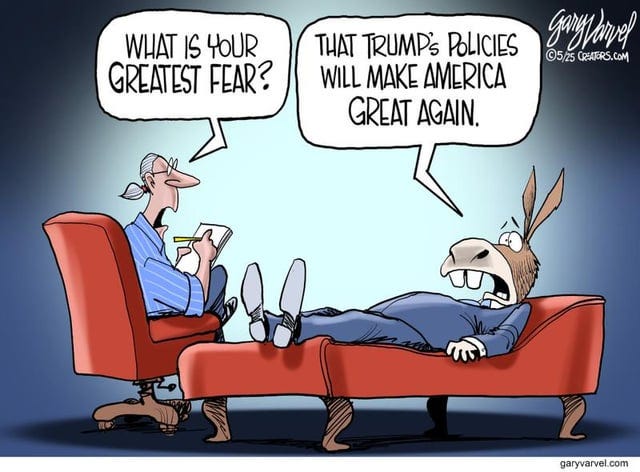 r/ConservativeMemes - Speaking Of Trump Derangement Syndrome...