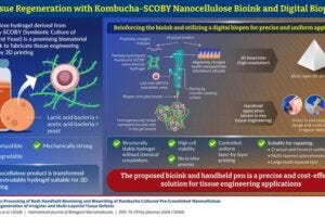 The new tissue engineering method uses a bioink derived from Kombucha SCOBY nanocellulose, reinforced with chitosan and kaolin, and a handheld biopen. The digitally controlled biopen enables precise and personalized wound repair or 3D bioprinting of complex structures.