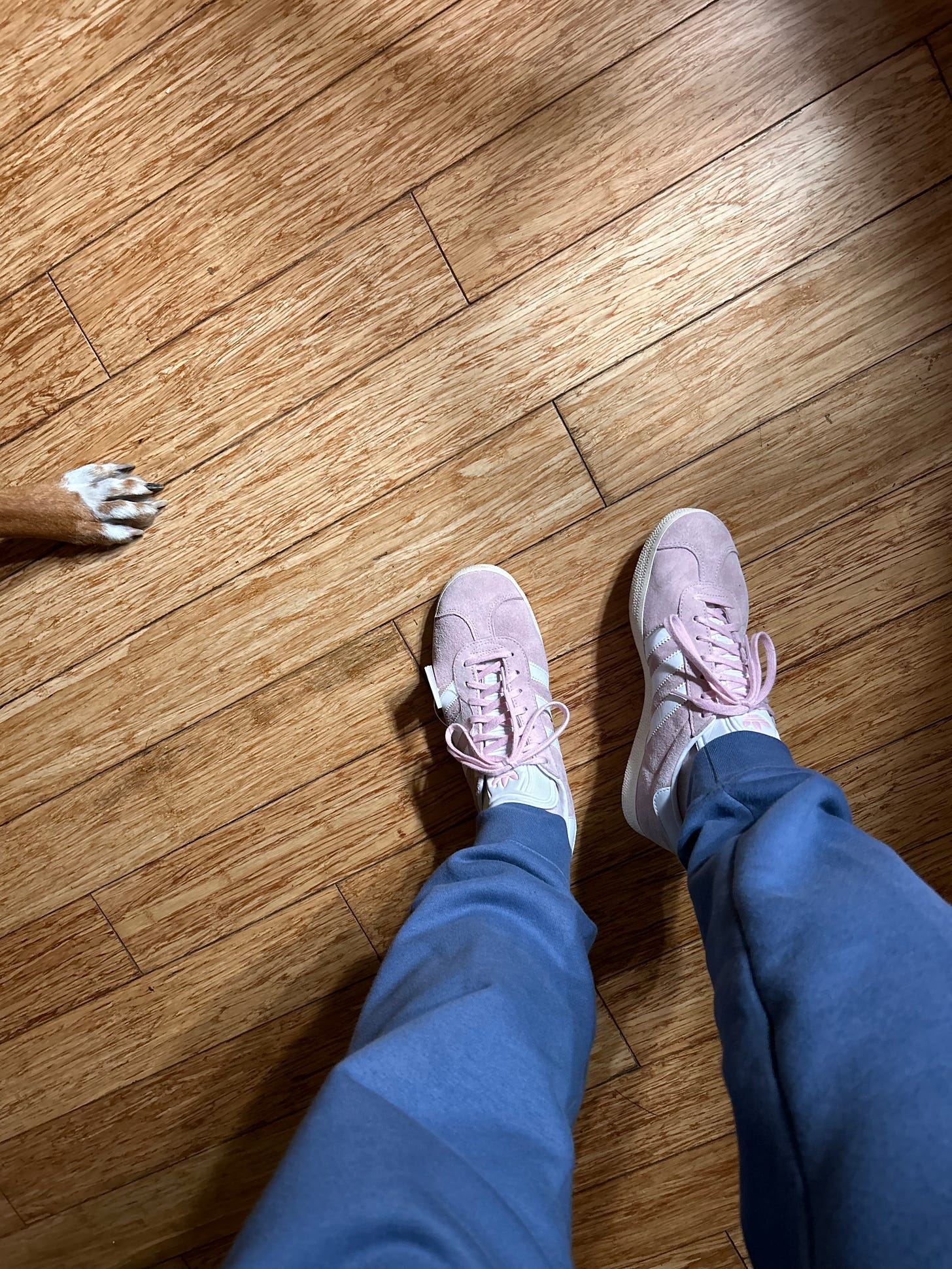 A picture of mary's feet  in her thrifed pink adidas gazelles. She has on blue joggers. Next to her feet is a white and brown dog paw.