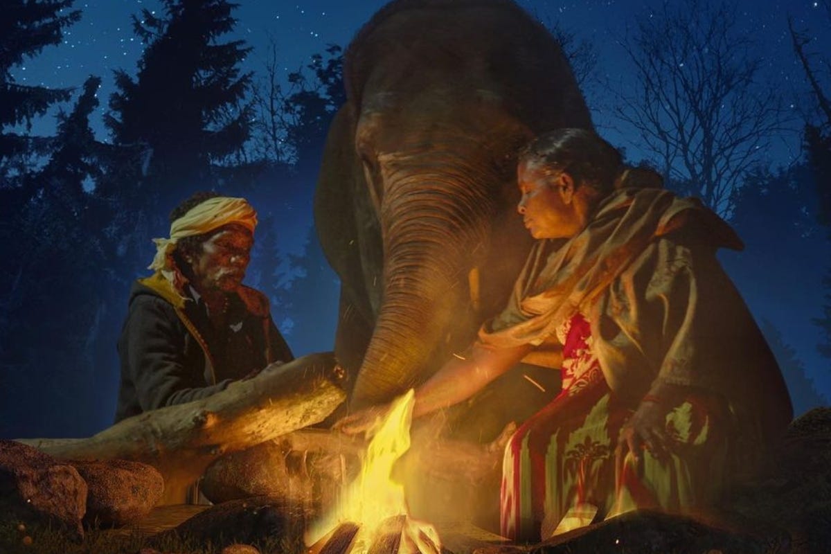 The Elephant Whisperers, Oscar 2023 winner Best Documentary (Short Subject)