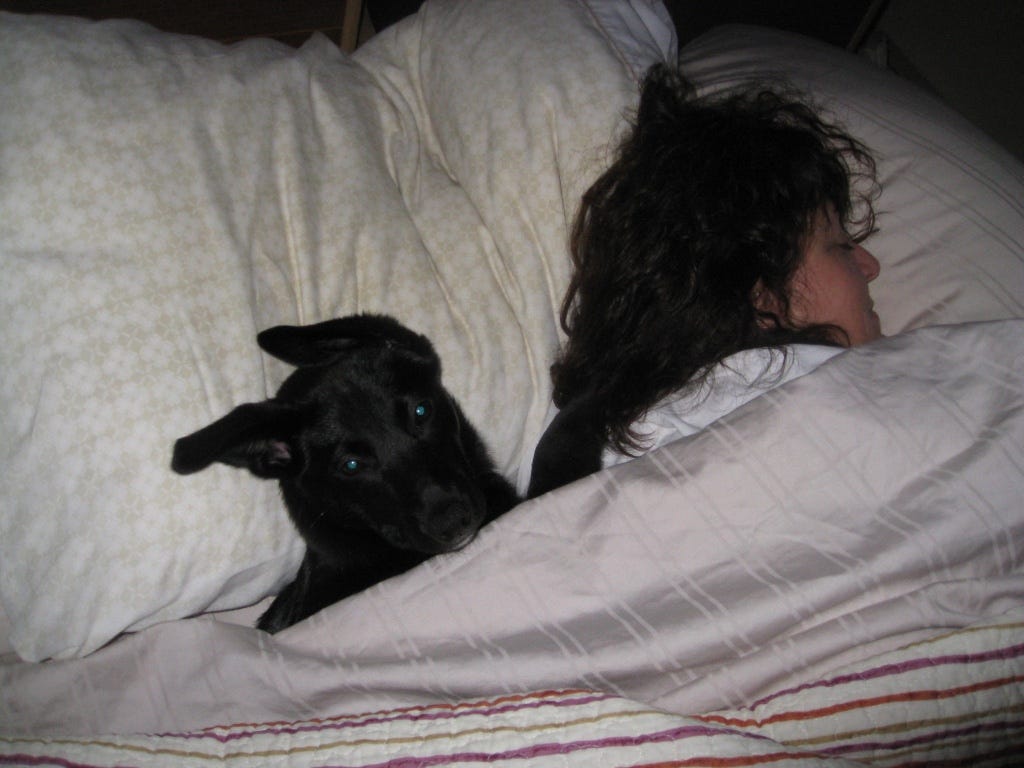 Dog and human sleeping in the same bed.