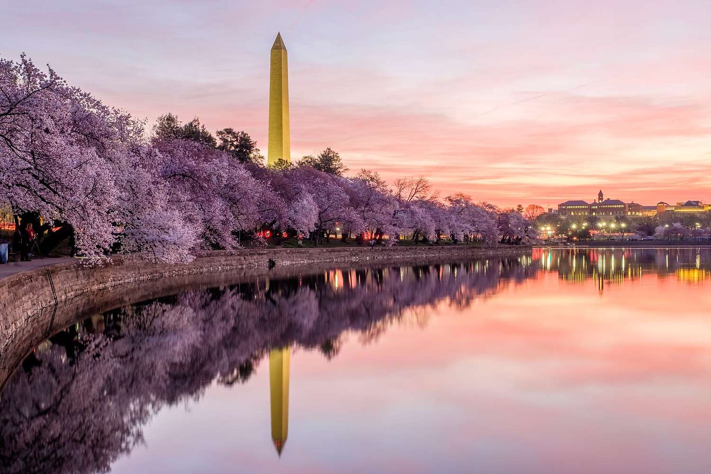 Washington, DC's Cherry Blossoms Are Blooming Early This Year. Here's When  to Go