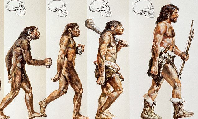 Famous diagram showing ascent of man idea is 'so wrong' it sends leading  geneticist ape | Daily Mail Online