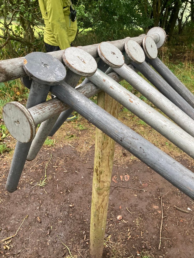 Eleven or twelve giant nails balancing on a pole under some trees in the pouring rain.