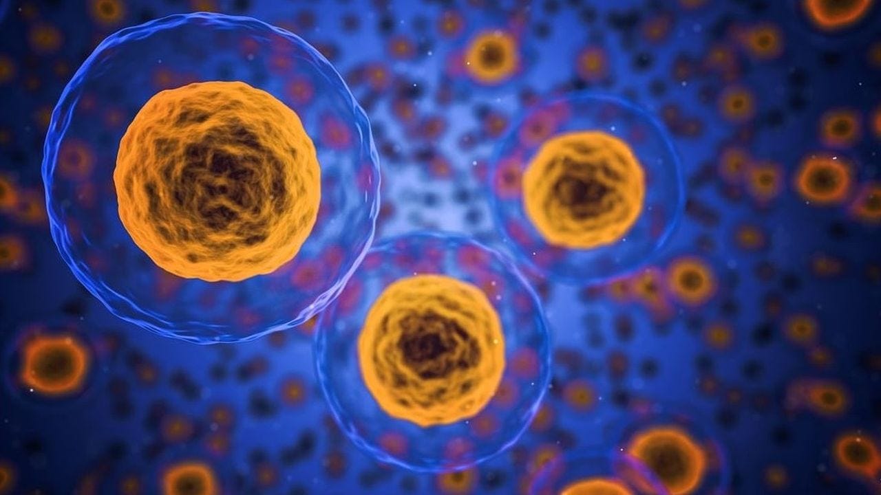 La ciencia logra frenar el proceso de envejecimiento celular