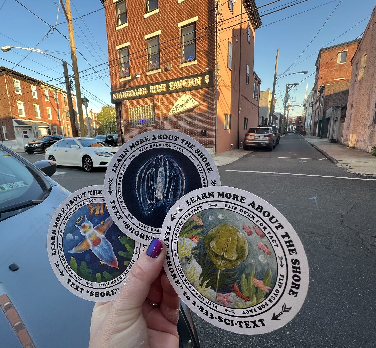 3 coasters that say "Learn more about the shore text SHORE to 1-833-SCI-text" and 3 animals illustrated on there, including horseshoe crabs, a sea angel, and a ctenophore