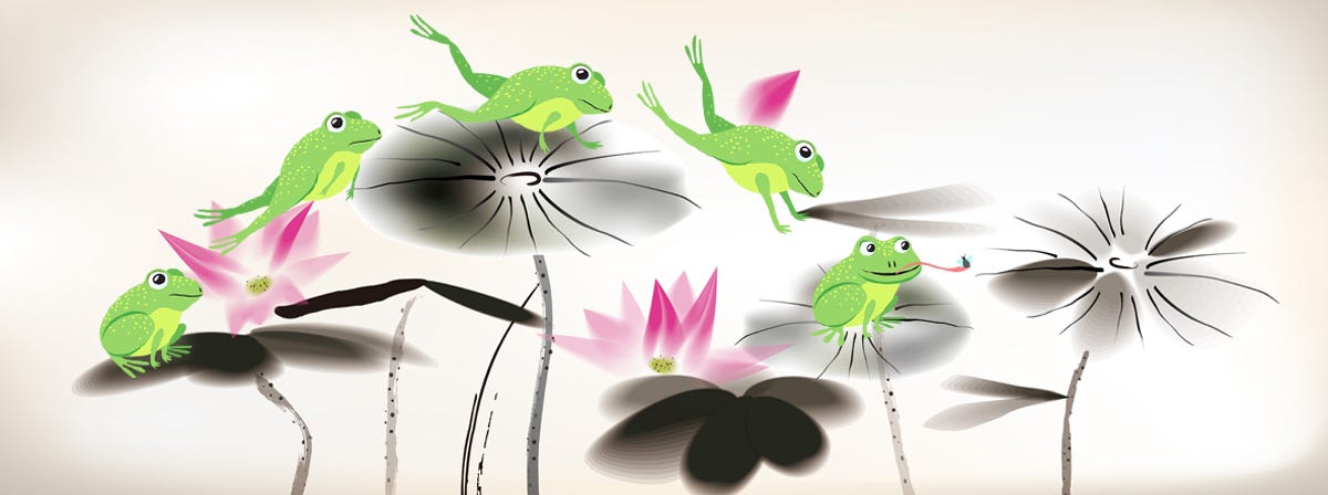 Frog jumping on waterlily pads