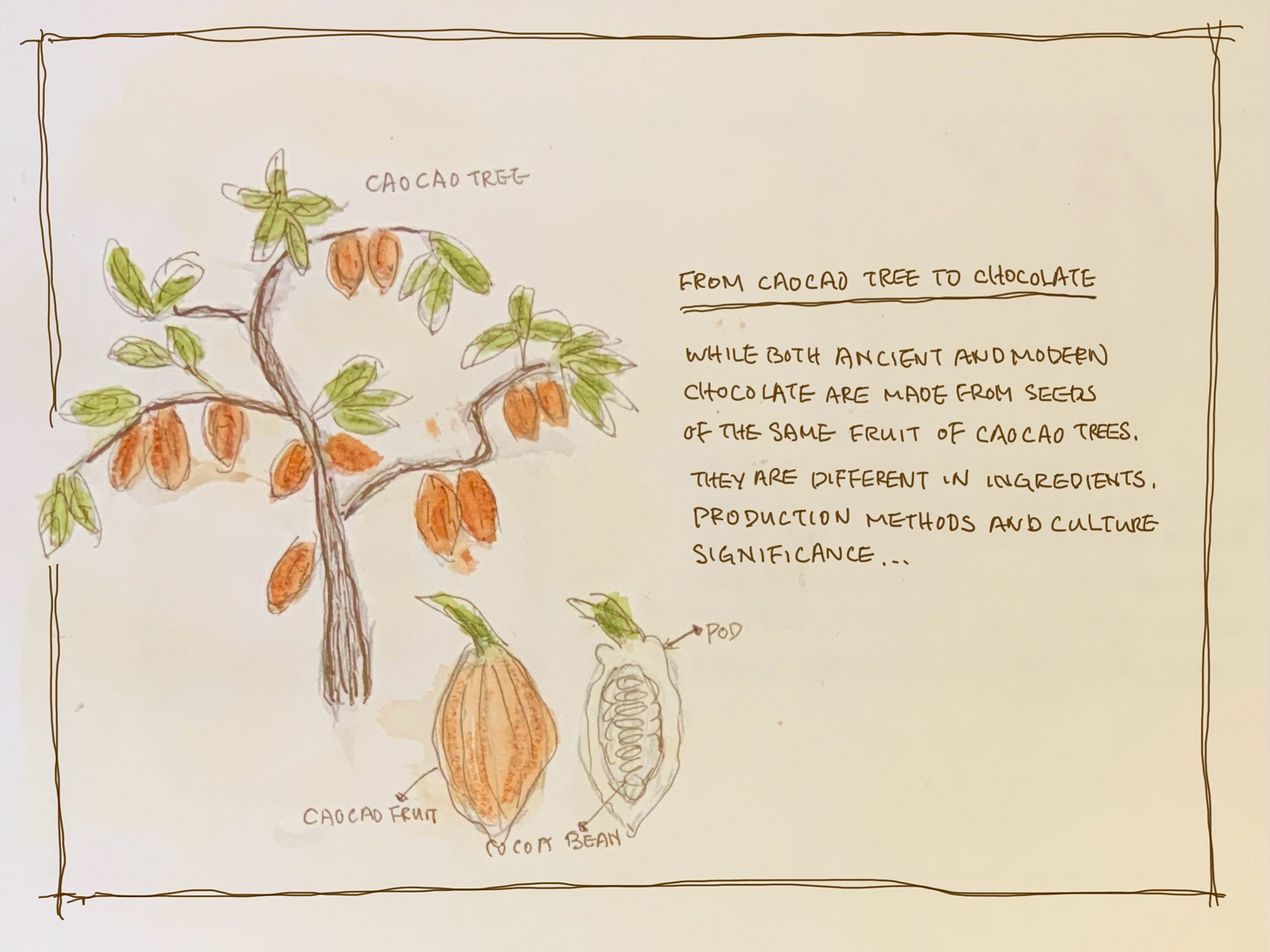 Chocolate's bittersweet journey by Bree Leafy Pages