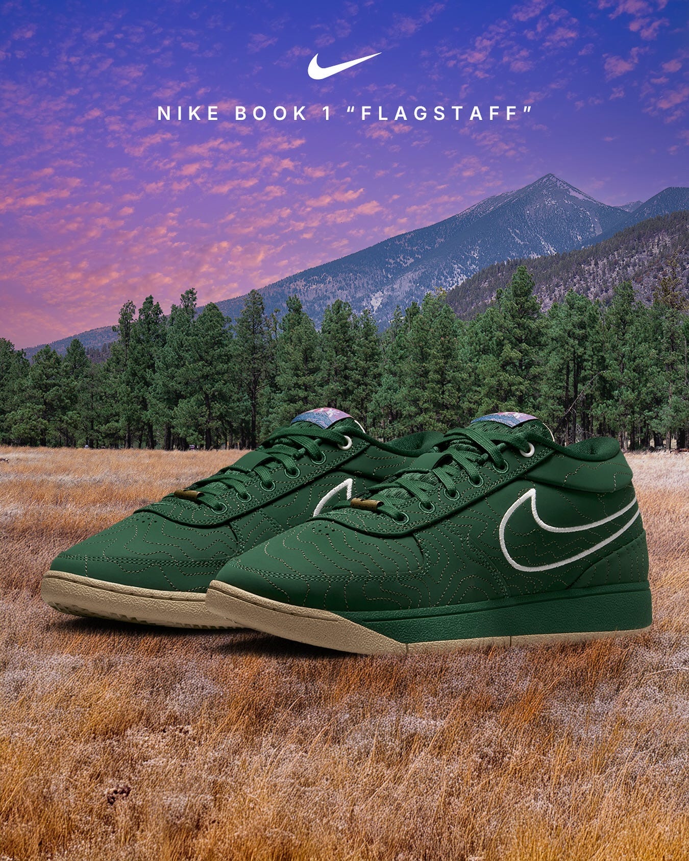 May be an image of text that says 'NIKE NIKEBOOK1"FLAGSTAFF" NIKEBOOK1 B "FLAGSTAFF"'