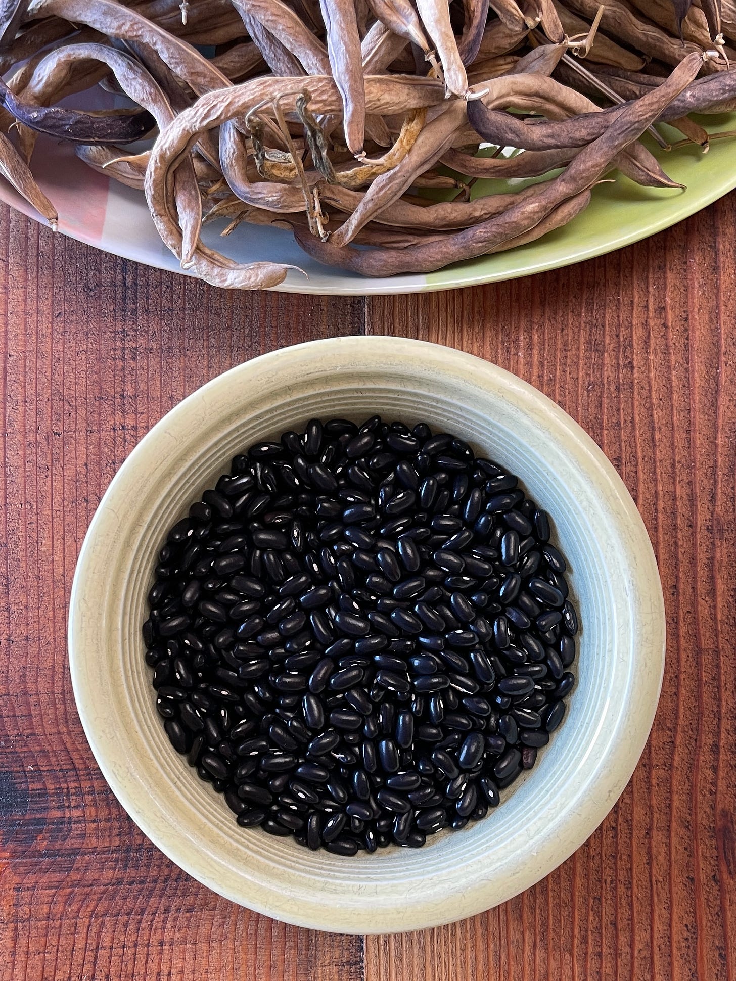 A bowl of harvested black beans sits on a wooden table. Above it are the empty dried pods.