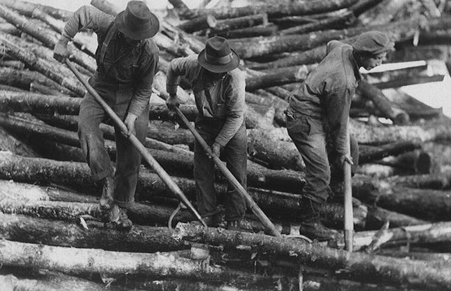 Three lumber jacks standing on a pile of logs using peavy tools to move them.