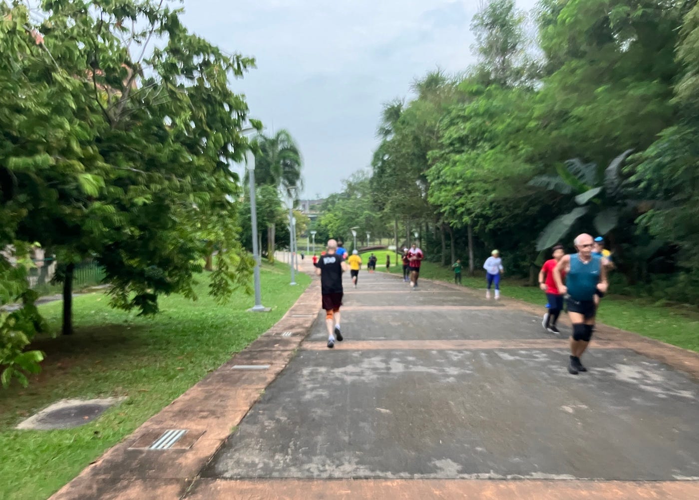 Runners on a wide path with trees on either side