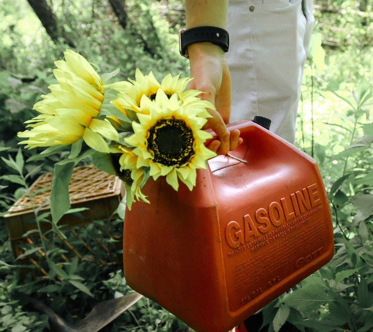 Gasolina verde: o combustível nosso de cada dia