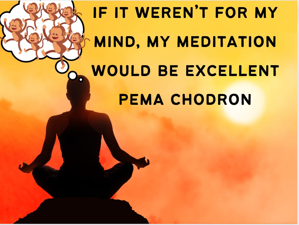 silhouette of someone meditating in sunset. Thought bubble filled with monkeys. Quote says “If it weren’t for my mind, my meditation would be excellent.” Pema Chodron