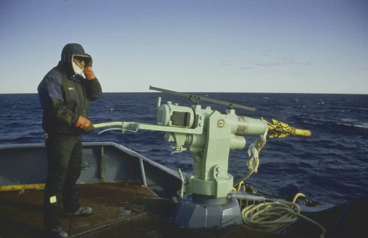 Is whaling cruel? - Whale and Dolphin Conservation