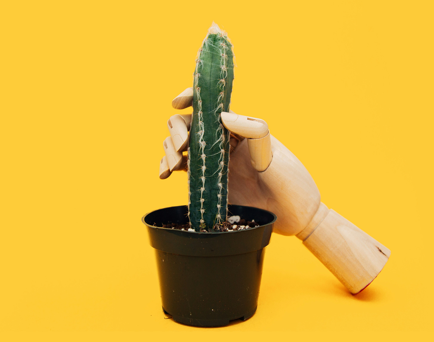 A wooden hand wrapped around a cactus against a yellow background.
