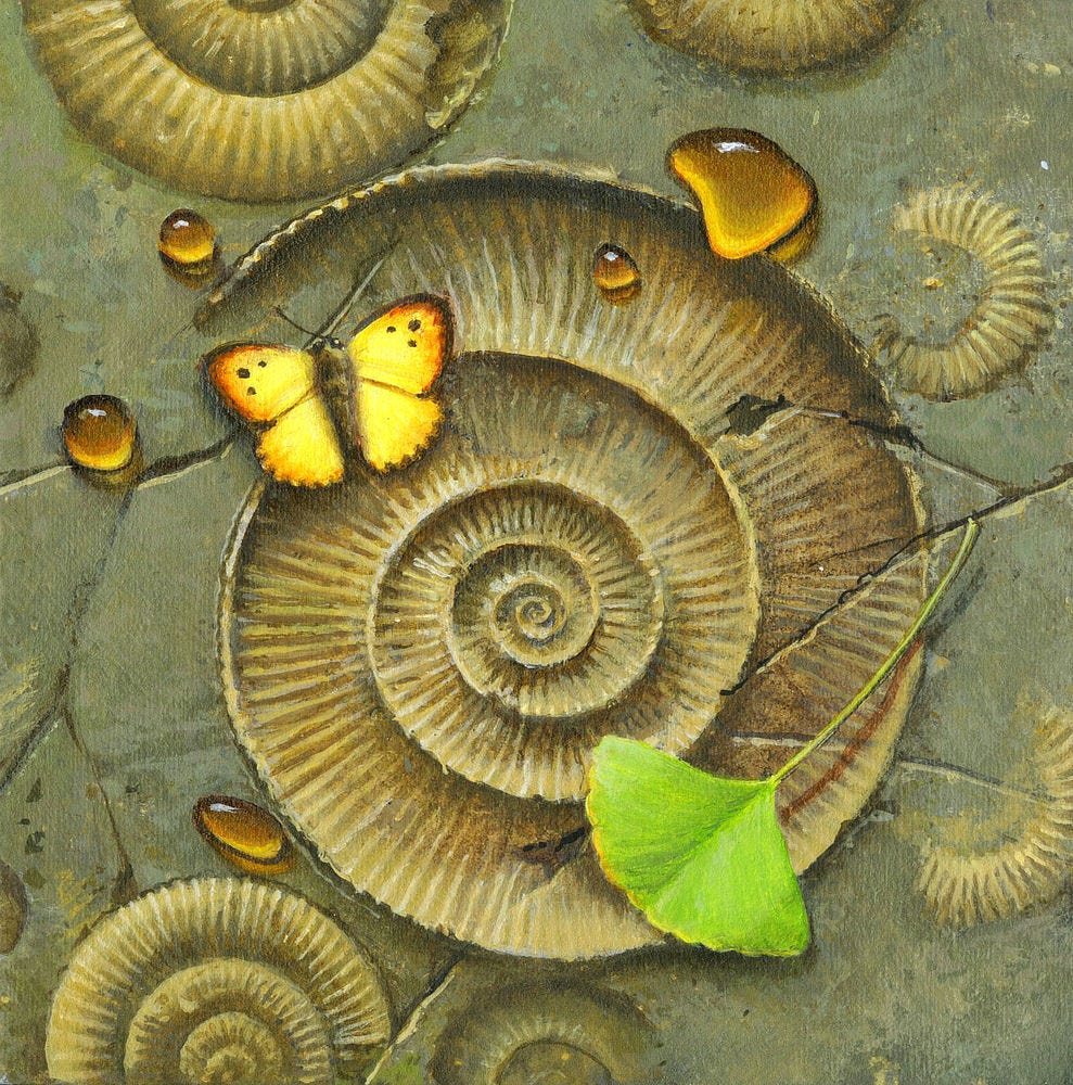 A green ginkgo leaf rests on the fossilized impression of an ammonite set in cracked stone. On the opposite end of the chambered spiral a yellow butterfly takes a brief respite from flight. Tiny spots decorate wings fringed with orange. Beads of amber scatter randomly in the space between other ammonite fossils, some half covered in stone.