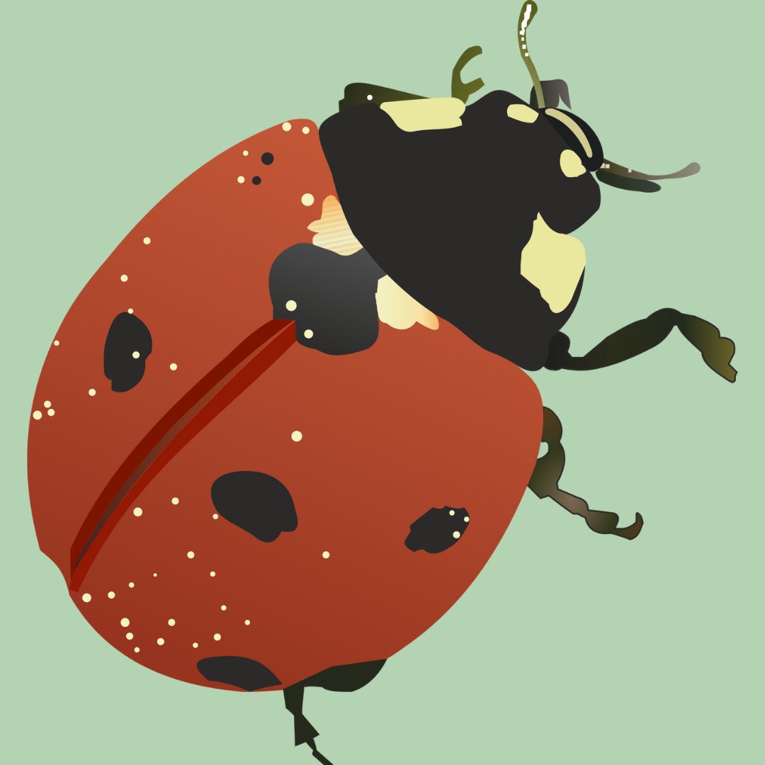 A red-orange ladybug against a soft mint-green background.
