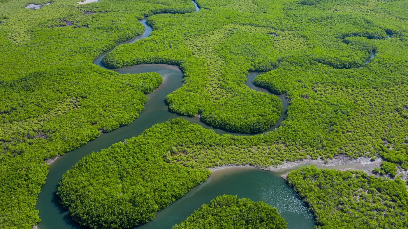 Rio Amazonas - Toda Matéria