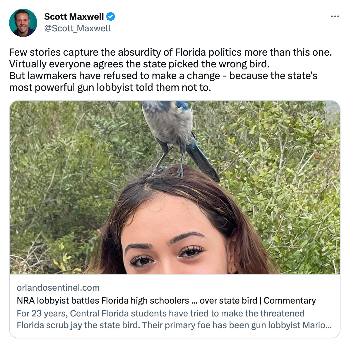 Screenshot of a tweet from Scott Maxwell that reads: "Few stories capture the absurdity of Florida politics more than this one. Virtually everyone agrees the state picked the wrong bird. But lawmakers have refused to make a change - because the state's most powerful gun lobbyist told them not to." and a link to an Orlando Sentinel story titled "NRA lobbyist battles Florida high schoolers...over state bird."