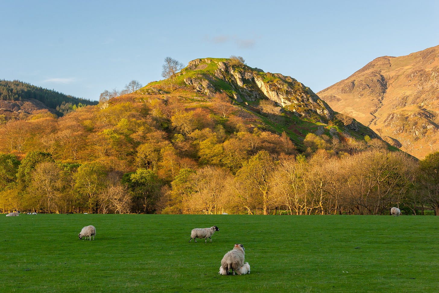 Dundurn, site of a Pictish Hill Fort, in upper Strathearn, Perthshire, Scotland, photographed in May © Felicity Martin Dundurn, site of a Pictish Hill Fort, in upper Strathearn, Perthshire, Scotland, photographed in May © Felicity Martin
