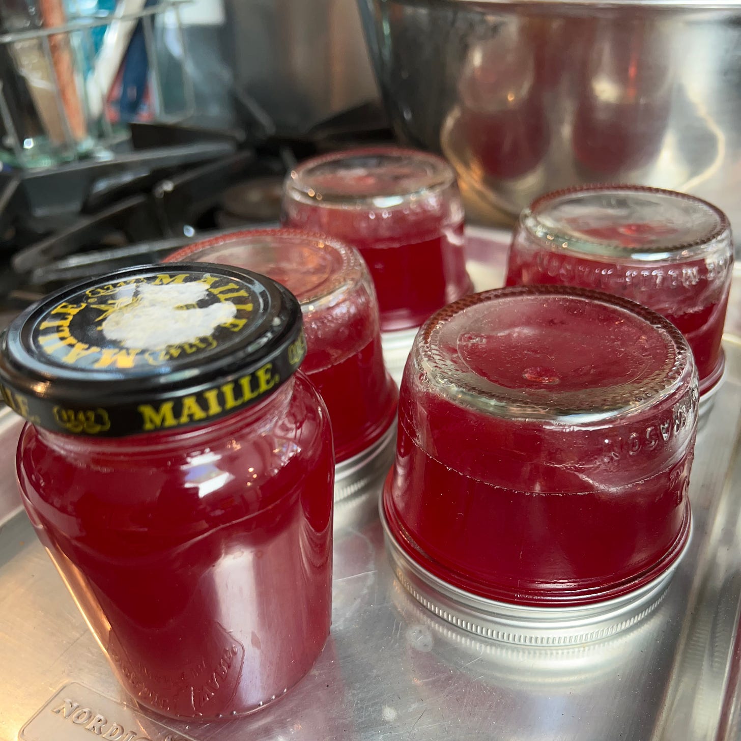 jars of just-made red currant syrup