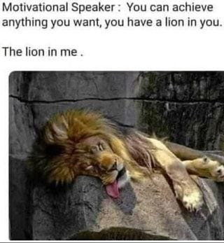 Motivational Speaker You can achieve anything you want, you have a lion in  you. The lion in me. - iFunny | Funny relatable memes, Funny laugh, Funny  animal memes