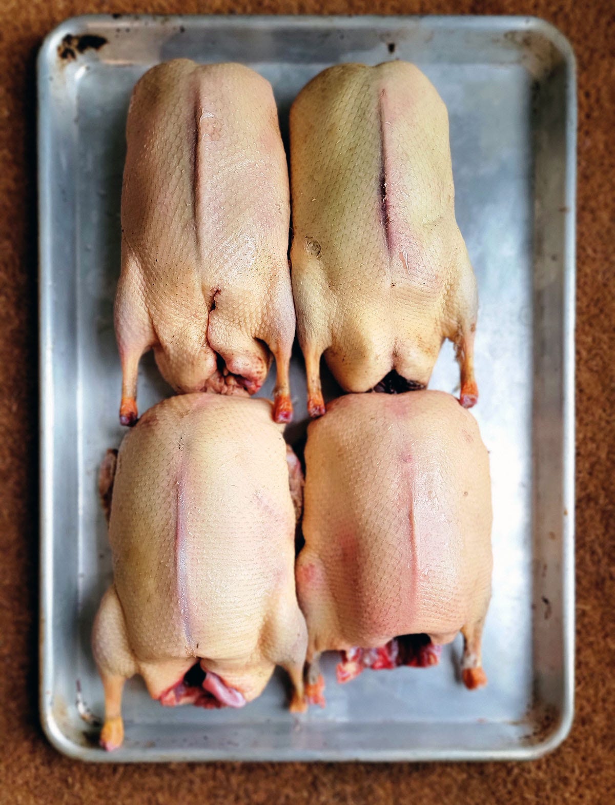 Four plucked mallards on a tray. 