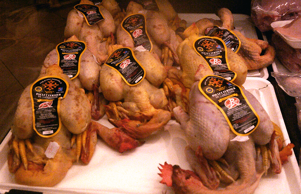 Fresh chickens, with necks and heads, in a supermarket in France. (c) Chris Aspinall 2023