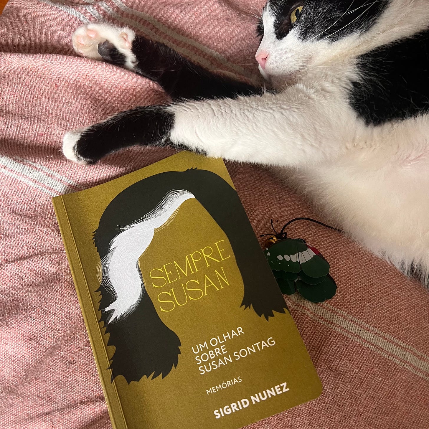 Foto mostrando a capa do livro Sempre Susan, com um gato preto e branco deitado do lado