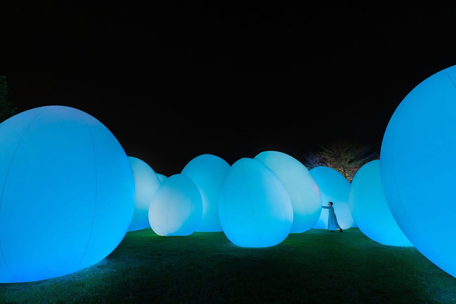 Glowing blue ovoid forms. They tower in height compared to the human standing next to them.