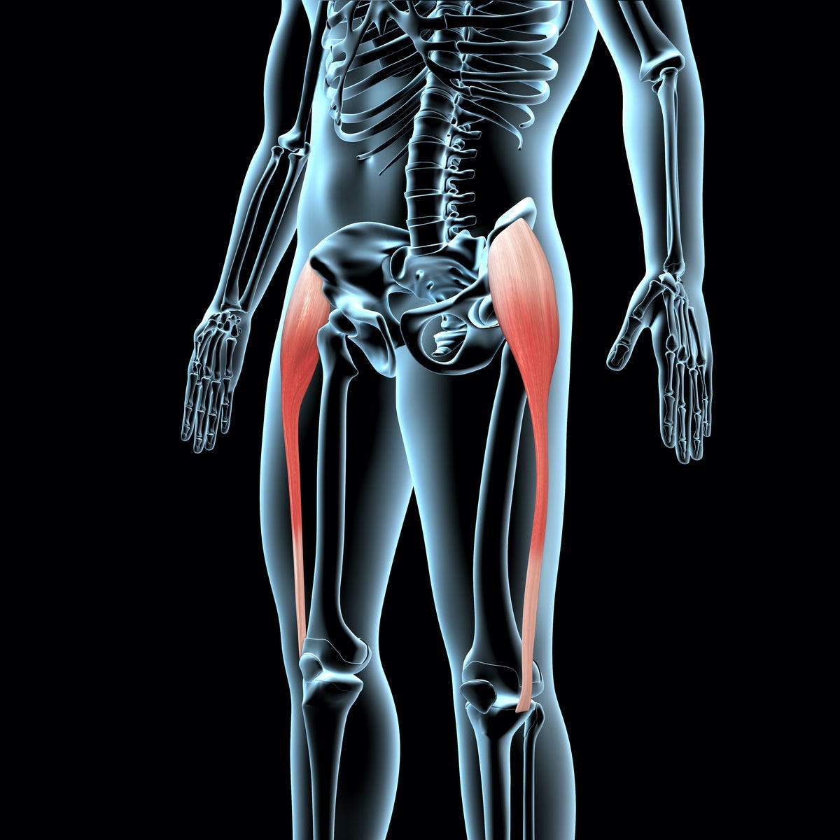 TFL Muscle - What It Is And How To Release It