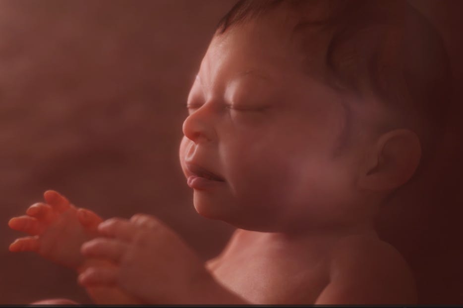 Cutting-edge ultrasound technology helps to expose the humanity of the unborn within the womb, changing hearts and minds. courtesy 